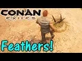 Let s Play Conan Exiles Climbing For Feathers