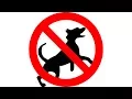 How To Stop A Dog Barking Ultrasonic Bark Control Keep A Dog Out Of Garden 12 Hours