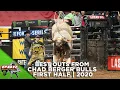 The Best Bulls From 9x Stock Contractor of the Year Chad Berger 2020