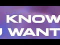 Pitbull - I Know You Want Me (Calle Ocho) [Helion Remix] [Lyric Video] [Ultra Music]
