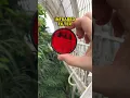 Download Lagu This filter is incredible !