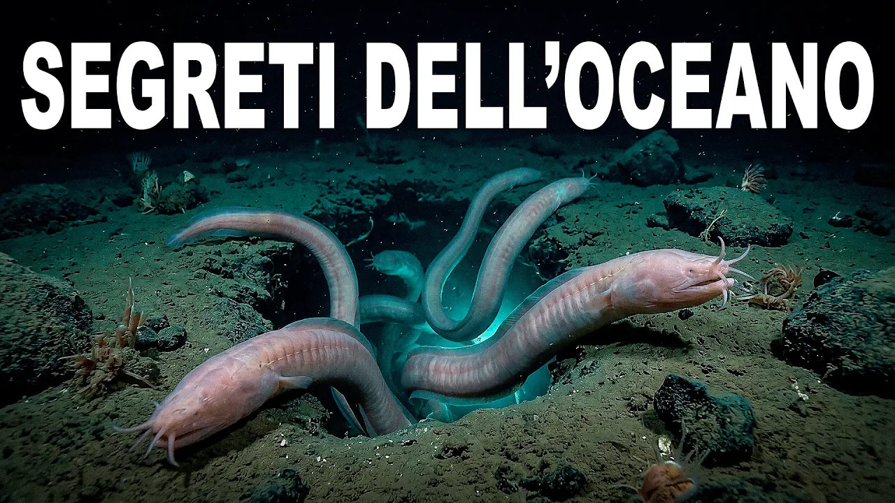 Perché il 95% del Fondale Oceanico Rimane Ancora un Mistero?