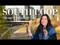 Chicago Neighborhood Guide SOUTH LOOP Best Restaurants Apartments Parks