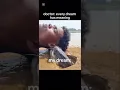 Download Lagu 🗣️Lin gan guli guli guli wata    credits: keenan_zf #meme #memes #funny #funnyvideo #dreams #fish