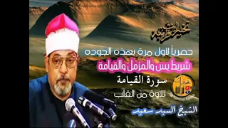 الشيخ السيد سعيد سورة القيامة جودة عالية HD 
