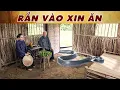 Download Lagu CỔ TÍCH MỚI 2025 | RẮN VÀO XIN ĂN | CỔ TÍCH VIỆT NAM MỚI NHẤT 2025 | CỔ TÍCH VIỆT NAM 2025
