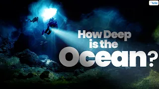 How Deep the OCEAN Really Is??  #mystery  | Letstute