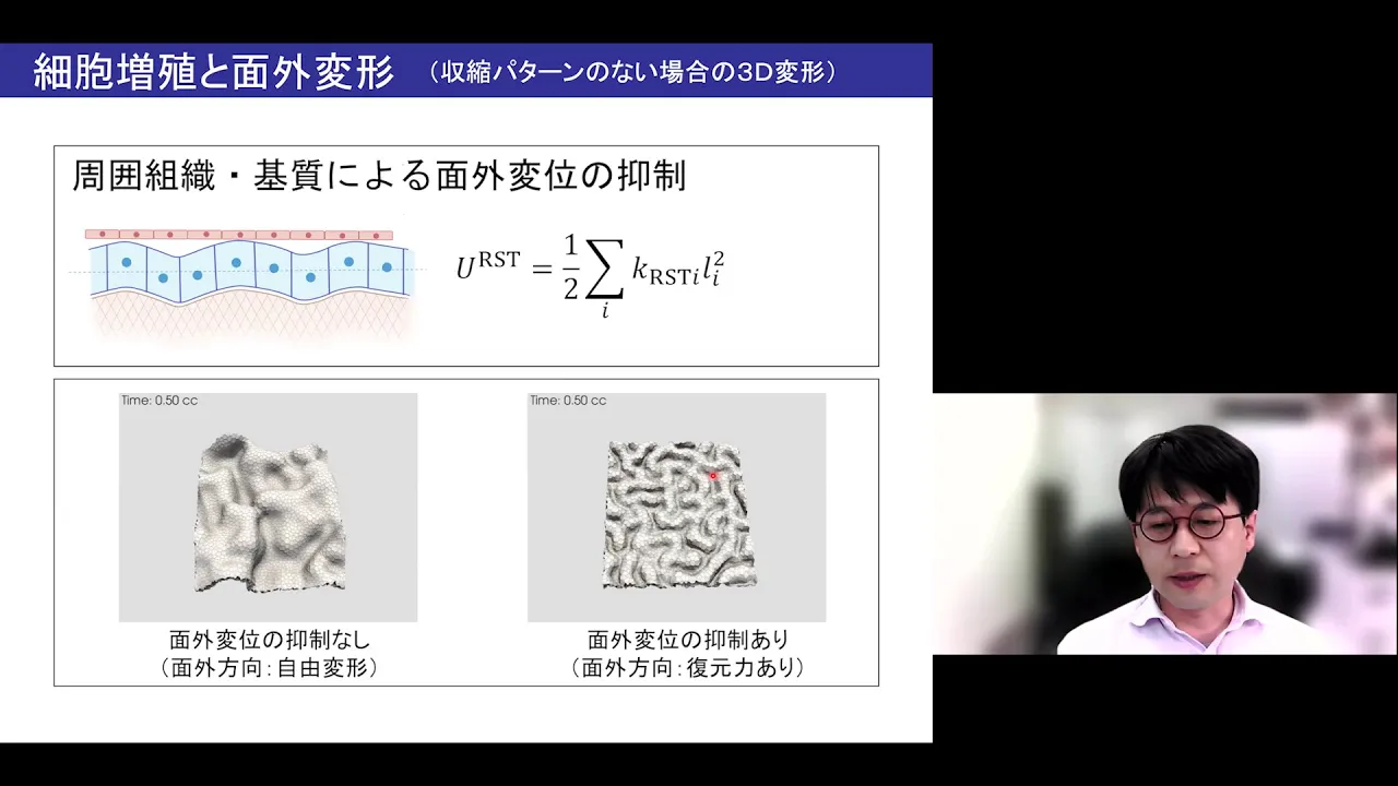 京都大学理学研究科 第19回 MACSコロキウム「形態形成の多細胞力学シミュレーション」井上 康博(工学研究科 教授)2022年4月18日