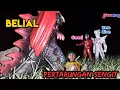 Download Lagu Pertarungan Ultraman Geed dan Zero melawan Belial