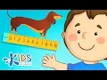 Measuring Length Centimeters Inches Feet and Yards Math for 2nd Grade Kids Academy