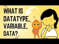 Crack the Code Demystifying Data Types Variables and Data