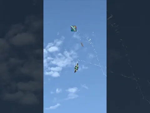Aparei Duas Raias de Uma vez