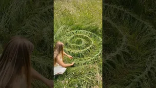 چرا باید چمن خود را ببافید    چمن کاری  باغبانی  شورت دندنها