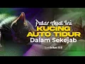 Download Lagu WOW! AYAT AL-QUR’AN INI BIKIN KUCING TIDUR NYENYAK \u0026 TENANG – BUKTI KEAJAIBAN AYAT SUCI!