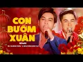 Download Lagu CON BƯỚM XUÂN (REMIX 2022) | NGUYỄN ĐÌNH VŨ x HỒ QUANG HIẾU | LIVE