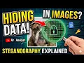 Steganography In Cyber Security How TO Hide Data in an image Steghide Tutorial Ur Analyst