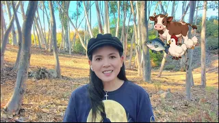 🔦《古律今案》第一宗，竟然由叉燒包開始 😂🗺️17CC