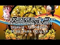 Tutorial De Como Baixar Danganronpa Goodbye Despair - Traduzido Pt-br Para Celular