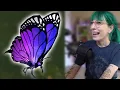 Papi Drop Reaction Live Stream Highlight