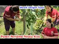 Download Lagu Akhirnya kita PANEN PERTAMA GAMBAS DAN LANGSUNG DI MASAK