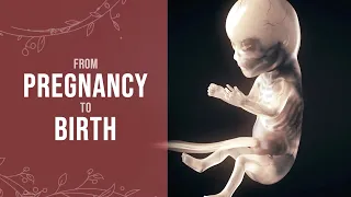 Download Pregnancy - How a Wonder is Born! (Animation) MP3