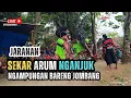 Download Lagu 🔴 Live Jaranan Sekar Arum Nganjuk Di Ngampungan Bareng Jombang