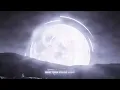 Armin van Buuren & Gryffin - What Took You So Long [LYRIC VIDEO]