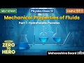 hydrostatic paradox equilibrium explained part 7