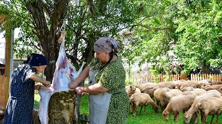 الجدة روز تذبح خروفا صغيرا في عيد الأضحى الحياة الريفية أذربيجان 