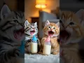 Lagu Cats laughing 😂🤭 #catlovers #cat #cute #kitty #catlover #funnycats #cutecat #meow #apt #sing
