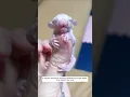 Download Lagu A couple rescued a newborn abandoned sugar glider and raised it by love
