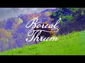 Ben Haskins - Boreal Thrum Full Album