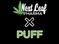 Inside NYS Legal Recreational Cannabis Dispensaries EP 1 Next Leaf Pharma In Salamanca NY