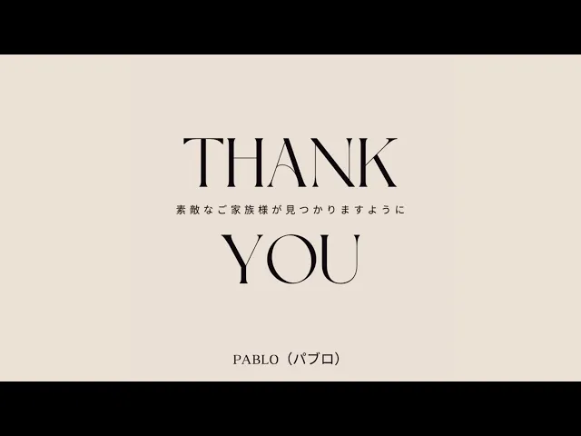 動画