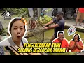 Download Lagu GREBEK TUMI...