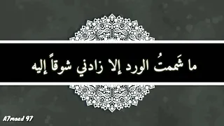 ما شممت الورد إلا   زادني شوقا  اليه   مديح نبوي غاية في الروعة مع الكلمات وجودة عالية    دندنها
