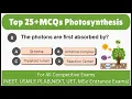 Top 30 MCQs on photosynthesis Photosynthesis MCQs