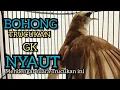Download Lagu TRUCUKAN BAHAN TRUCUK OMBYOKAN TRUCUK PAUT BISU PASTI BUNYI DENGAR SUARA TRUCUK GACOR NGALAS INI ‼️