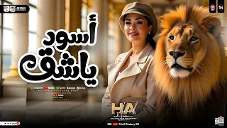 اسود ياشق اسم الله علينا النسخه الاصليه حنان احمد تريند التيك توك حظ شعبي 2025 