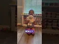 Jellycat Bunny The Best Stuffed Animal of ALL Time
