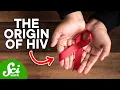 Lagu How HIV First Started in Humans