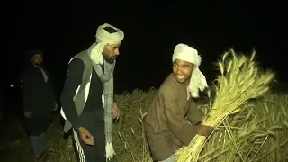 قصة حقيقية مرعبة حواديت الصعيد 