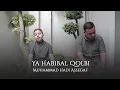 Download Lagu Muhammad Hadi Assegaf -  Ya Habibal Qolbi (Live Qasidah)