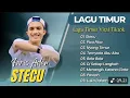 Lagu FARIS ADAM - STECU | JUAN REZA - PICA PICA | NYONG TIMUR || LAGU POP TIMUR VIRAL