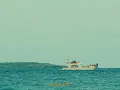 Townix - Alta Mar (Visualizer)
