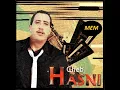 Madanitche netfarkou
