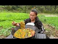 Download Lagu 今天摘些南瓜花，配一大块肉做一锅好吃的 Pick some pumpkin flowers to make a delicious meal