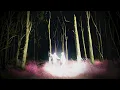 Alison Wonderland, WINK - RESCUE U