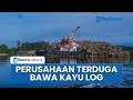 Mengenal PT Minas Pagai Lumber, Pemegang Konsesi Lahan 78 Ribu Hektare yang Kayunya Diduga Terdampar
