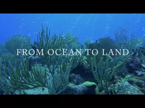 Evolution 4K Trailer